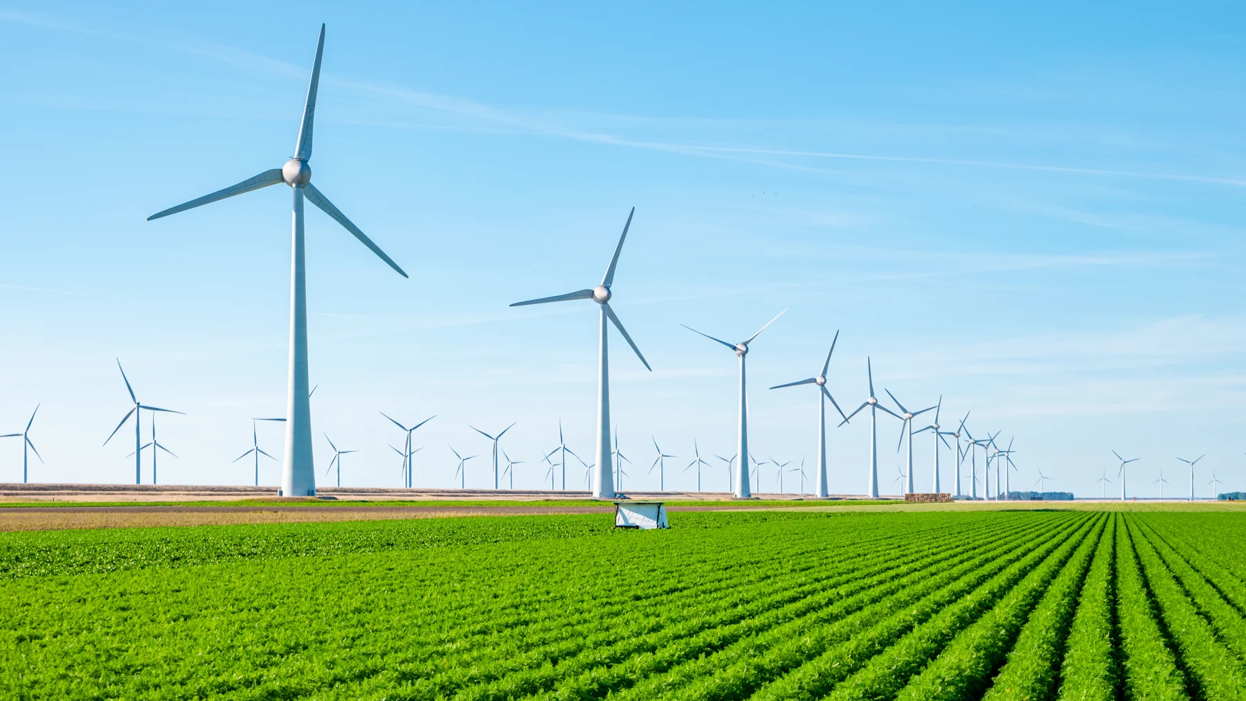 Wind turbines above green fields